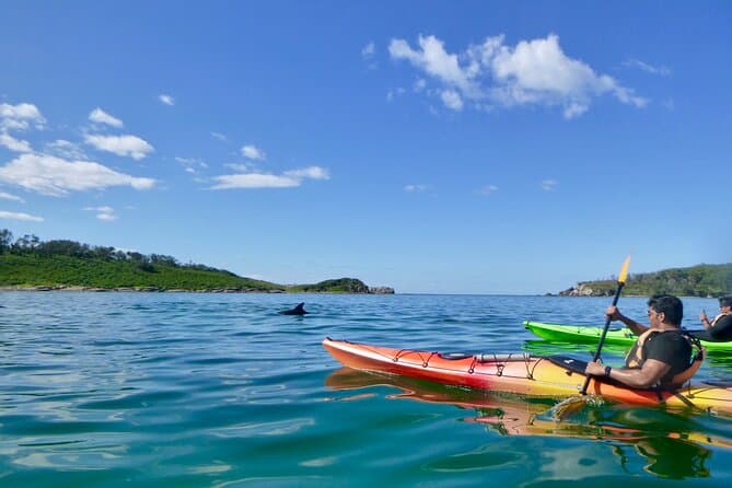 Best Jervis Bay Kayaking Adventures & Coastal Tours