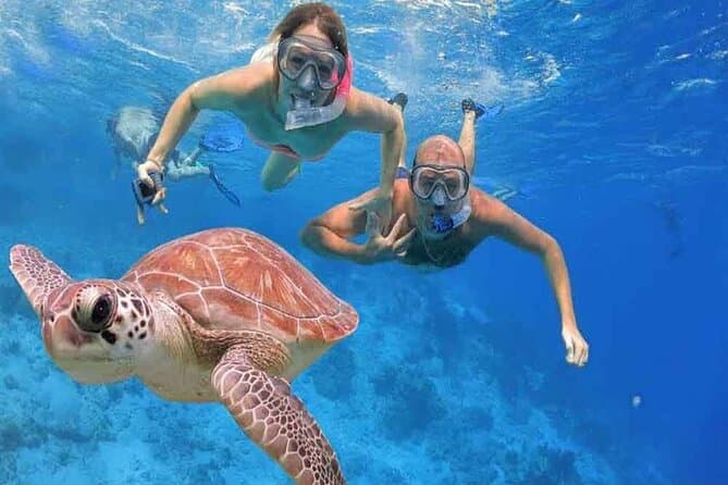 Compare Best Tours: Cairo & Sharm El Sheikh