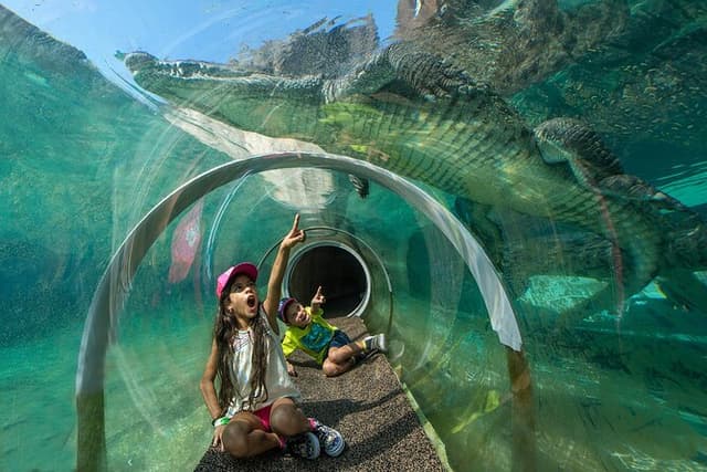 Go City: Miami Explorer Pass - Choose 2, 3, 4 or 5 Attractions