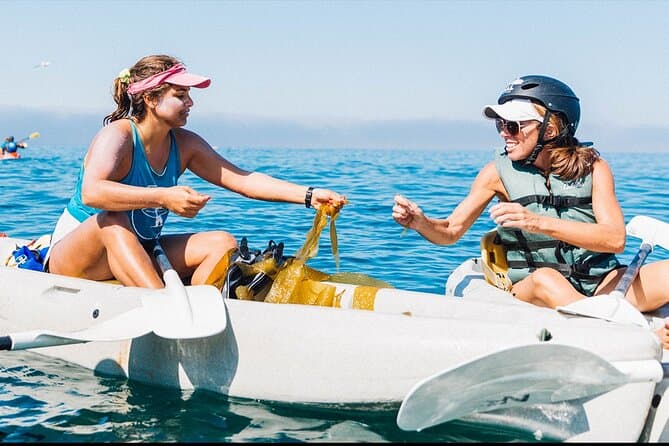 Best La Jolla Kayak & Snorkel Tours in San Diego