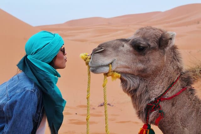 Zagora to Erg chigaga desert tour & 4x4 and camel ride