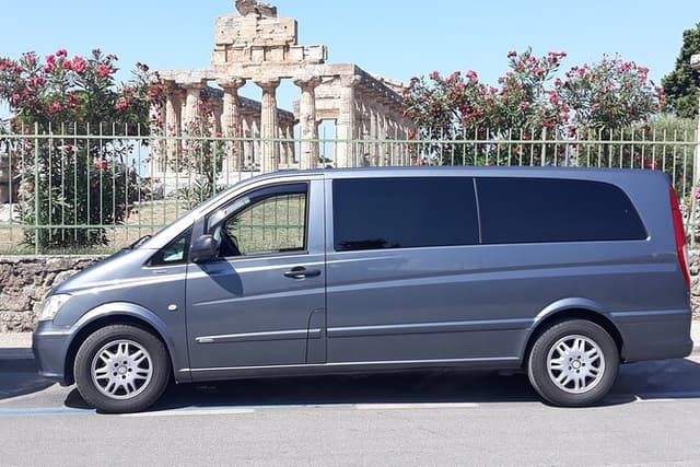 Paestum and Buffalo Farm Day Tour from Sorrento