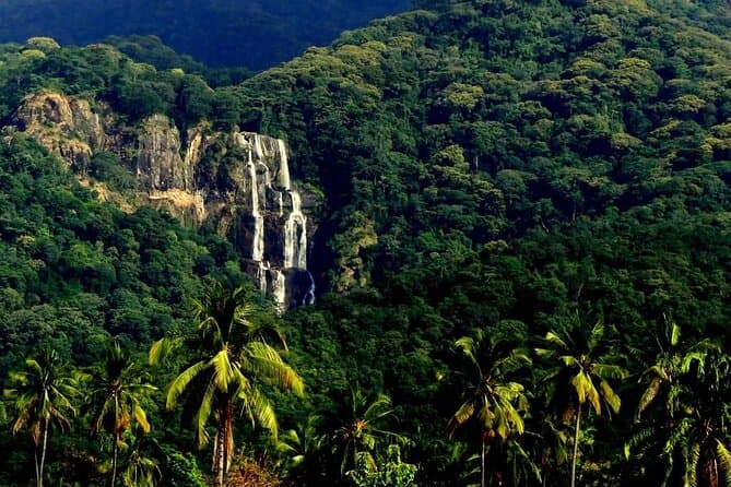 Best Mikumi Safari & Chizua Waterfalls Tour from Dar es Salaam