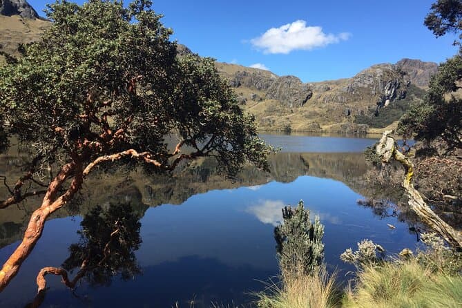 Best Cajas National Park Tours & Adventures in Cuenca