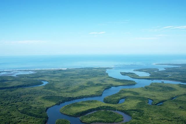 One Day Tour To Térraba-Sierpe Mangrove By Boat From Sierpe