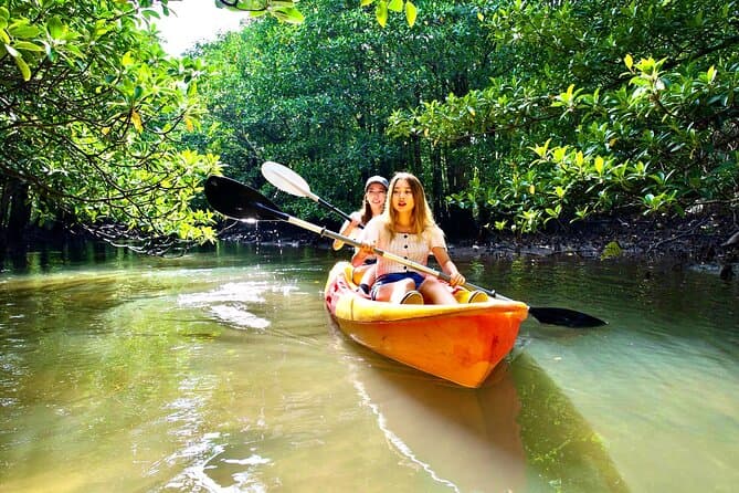 Explore Underwater Wonders: Iriomote-jima Snorkeling