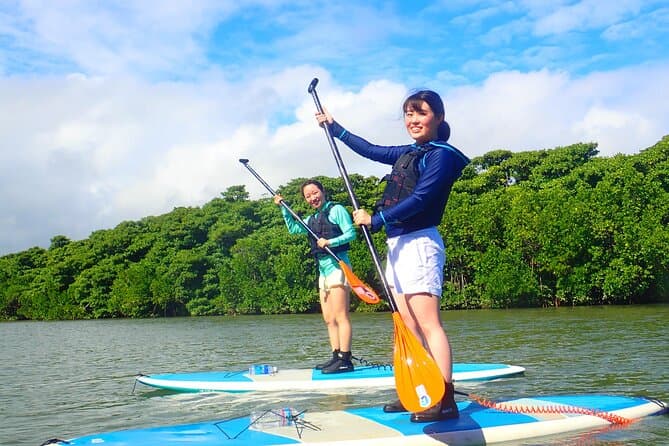 Best Mangrove SUP Adventures in Ishigaki, Japan