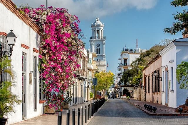 Full-day Santo Domingo Tour with Roundtrip Transfer from Airport to Hotel