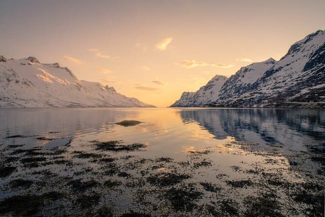 Arctic Fjord Roadtrip