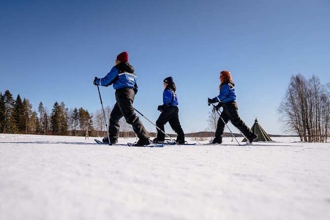 Arctic Snowmobile Safari