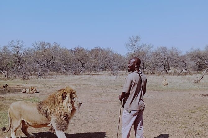Compare Top Rhino & Lion Park Tours in Pretoria