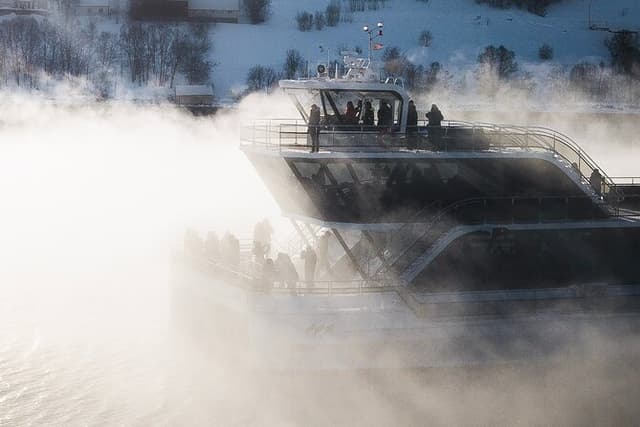 Half Day Arctic Fjord Cruise from Tromso