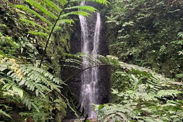 Half-Day Guided Hike to Afareaitu Waterfall
