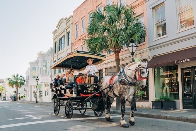 Best Horse-Drawn Carriage Tours in Historic Charleston