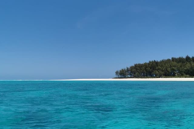 Private Ocean Safari