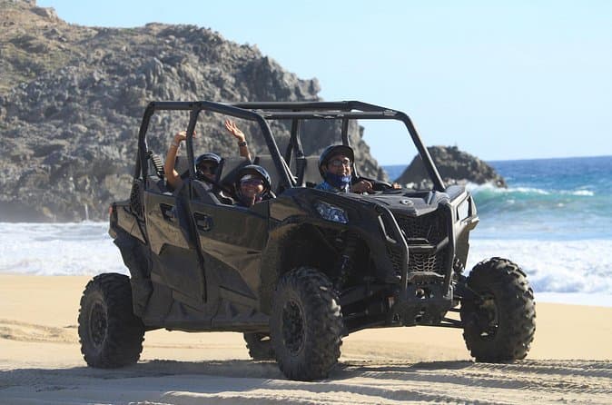 Top-Rated Cabo San Lucas City Tours & Guides