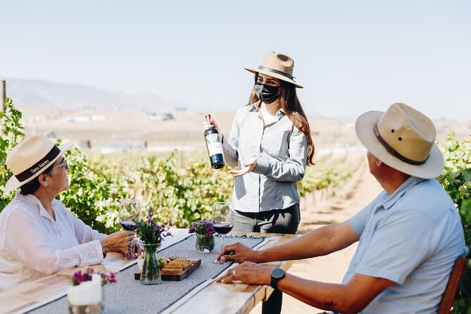 Rondo del Valle Wine Tasting