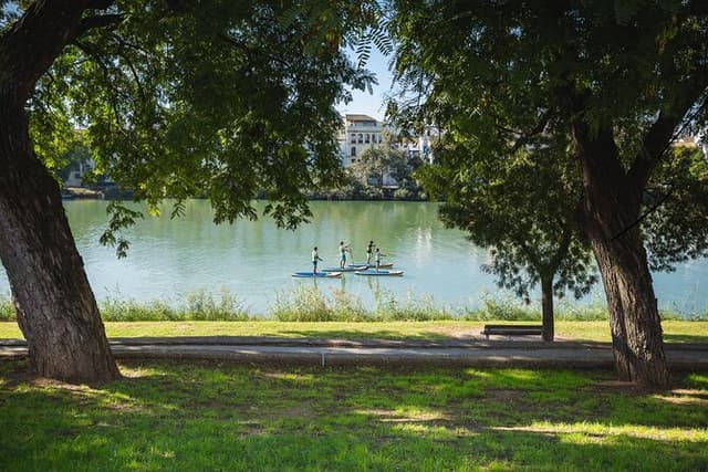 Seville Private Paddle Surf Tour