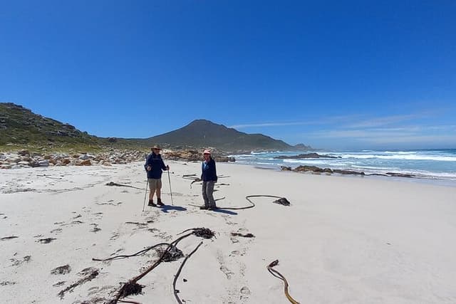 Hiking Cape of Good hope, Cape Point & Penguins Private Full Day
