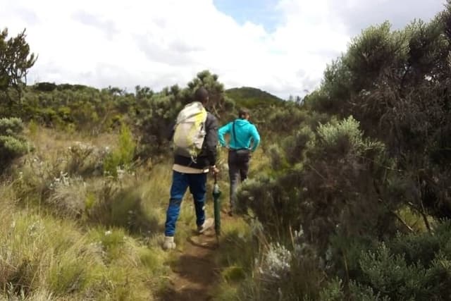 Day Hike to Mount Kilimanjaro, Chagga Culture & local Experience