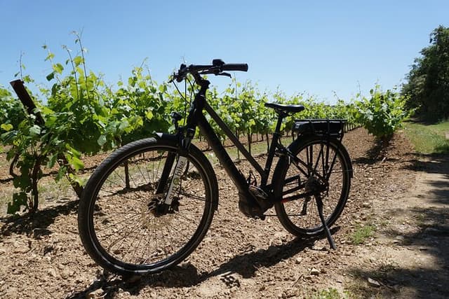 The Carrières de Lumières by bike for half-day
