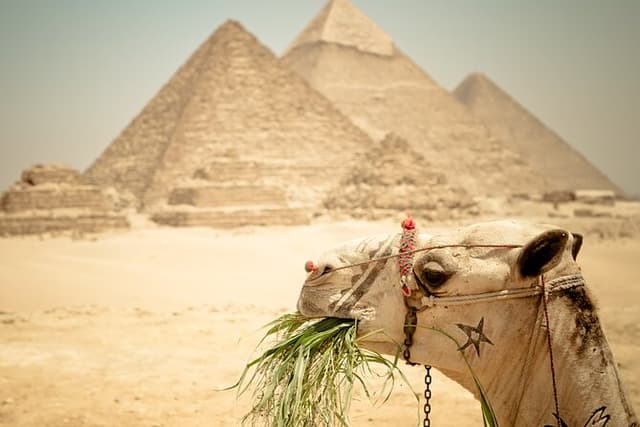 Tour Visit Giza Pyramids, old Egyptian Museum From Bahariya Oasis