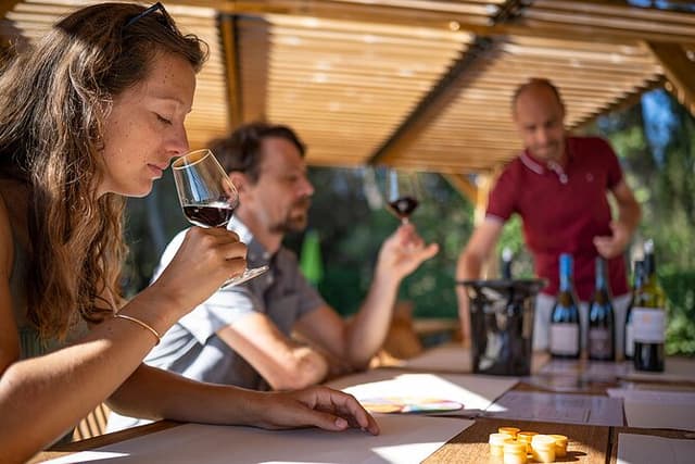 Private Half-Day Languedoc Wine Tour from Sète