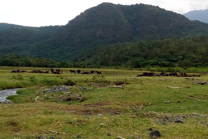 Mount Meru Sunrise Trek in Arusha, Tanzania