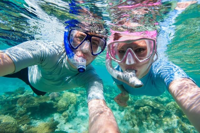 Cozumel Snorkeling Tour to Palancar Reef and El Cielo