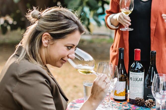 Best Wine Tasting Tours in Ronda, Malaga