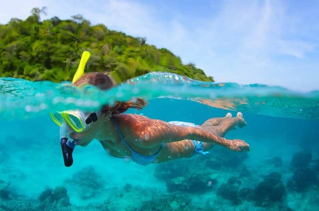East Adventure with Blue Bay Marine Park, Crocodile Park & Lunch