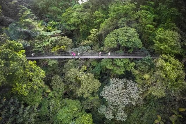 2-in-1: Hanging Bridges, Waterfall, Volcano Hike, or Hot Springs