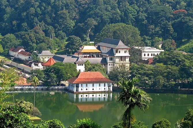 Compare Top Kandy Day Trips from Bentota
