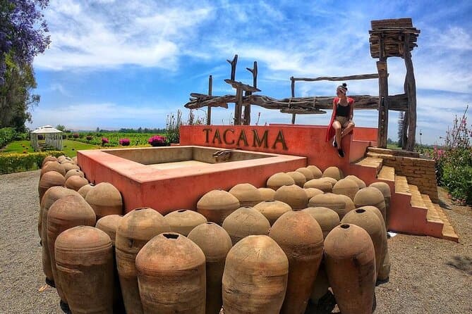 Ica Pisco & Wine Tour