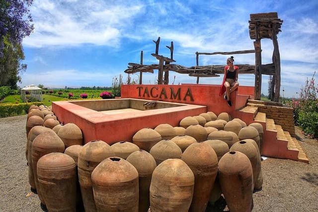 Ica: Pisco and Peruvian Wine Route