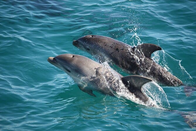 Mornington Peninsula Day Tour