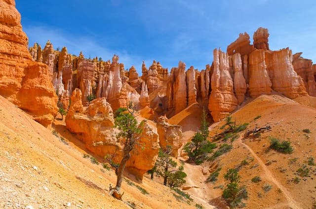 Zion & Bryce Canyon National Parks Day Tour from Las Vegas