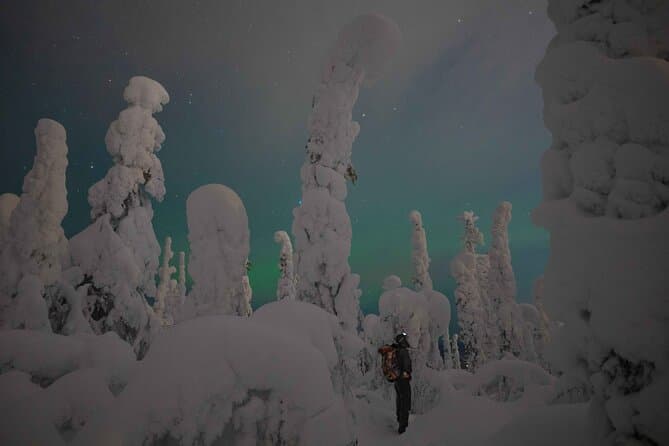Unforgettable Snowmobile Adventures in Rovaniemi, Lapland