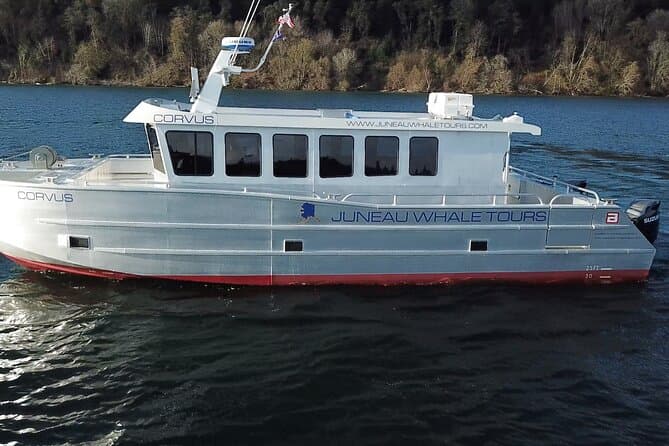 Juneau Whale Watching Adventure