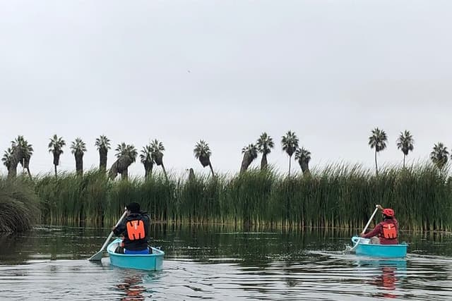 Bike Tour to Pantanos de Villa with Boat Ride & Birdwatching