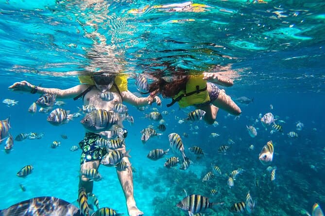 Explore Roatan's Best West Bay Scuba Diving Adventures