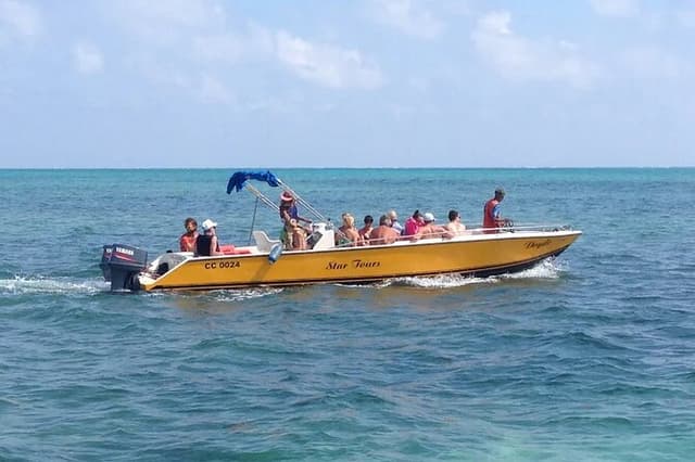 3 Hours Barrier Reef Tour in Caye Caulker, Belize