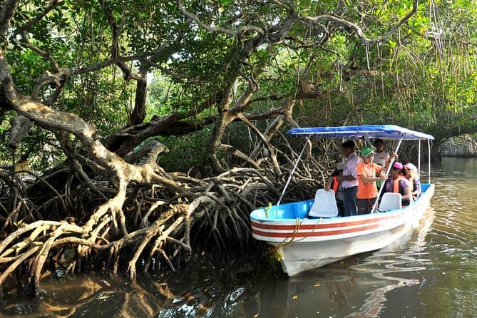 Unforgettable Veracruz City Tours & Local Experiences