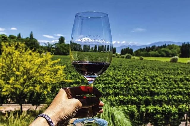 Luján de Cuyo Gourmet Wine Tour