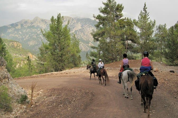 Top-Rated Bodrum Horseback Riding Tours