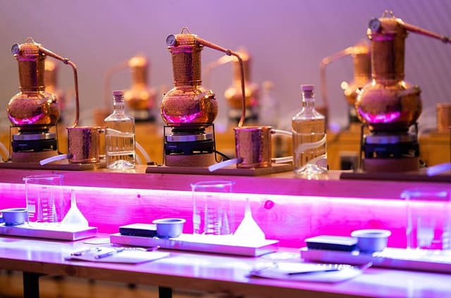 Sip & Learn Gin Tasting in Aberdeen
