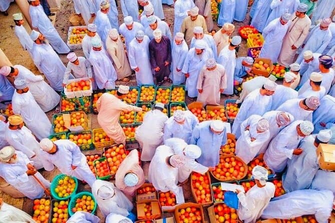 Exclusive Private Tours & Authentic Muscat Experiences