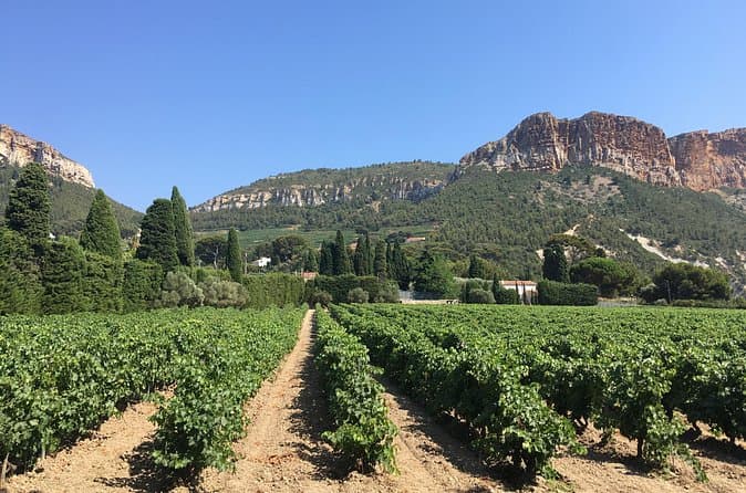 Best Bandol & Cassis Wine Tours Near Aix