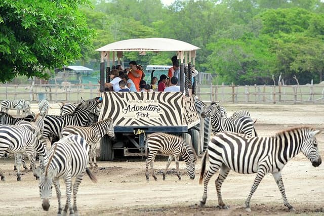 Day pass to Ponderosa Adventure Park