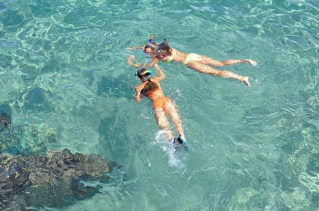 Key West Combo: Hop On Hop Off Afternoon Snorkeling